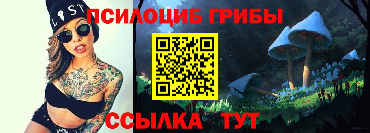 Галлюциногенные грибы мухоморы Ленинск-Кузнецкий